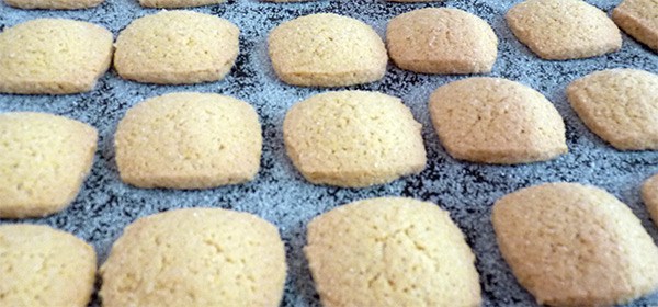 Canistrelli de la biscuiterie José Orsoni